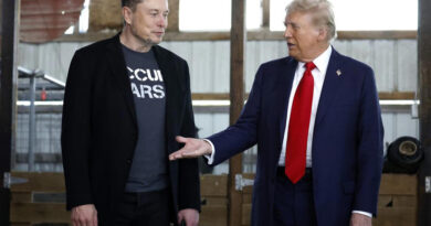 Elon Musk 'will take knife to deep state' if Donald Trump triumphs, says Nigel Farage