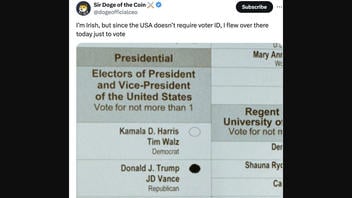 Fact Check: FAKE Posts Claim That Foreign Nationals Are Voting In The US Election Because No Voter ID Is Required | Lead Stories