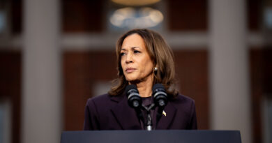 Left-Wing Conspiracy Theory That Kamala Harris Won Election Spreads Online