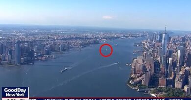 Mysterious 'orb' spotted over New York City days after Pentagon revealed near-miss between plane and UFO