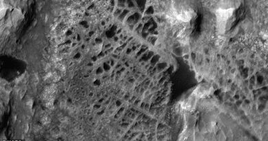 NASA spots 'spiderwebs' on never-before-explored region of Mars that could be linked to aliens