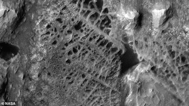 According to satellite mapping work by 'Martian geologist' Dr Kirsten Siebach, at least 113.6 billion gallons of salty, warm mineral-laden water would have been required to create the vast field of crystal webbing (above), which is about as big or bigger than Los Angles Airport (LAX)