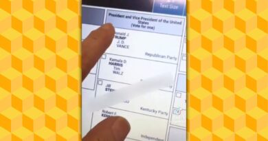 Video of Malfunctioning Kentucky Voting Machine Is Authentic — But Requires Context