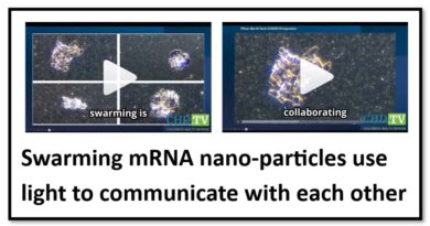 BOMBSHELL: Covid-19 mRNA nanoparticles EMIT LIGHT SIGNALS that communicate MAC addresses used for self-assembly inside the blood vessels