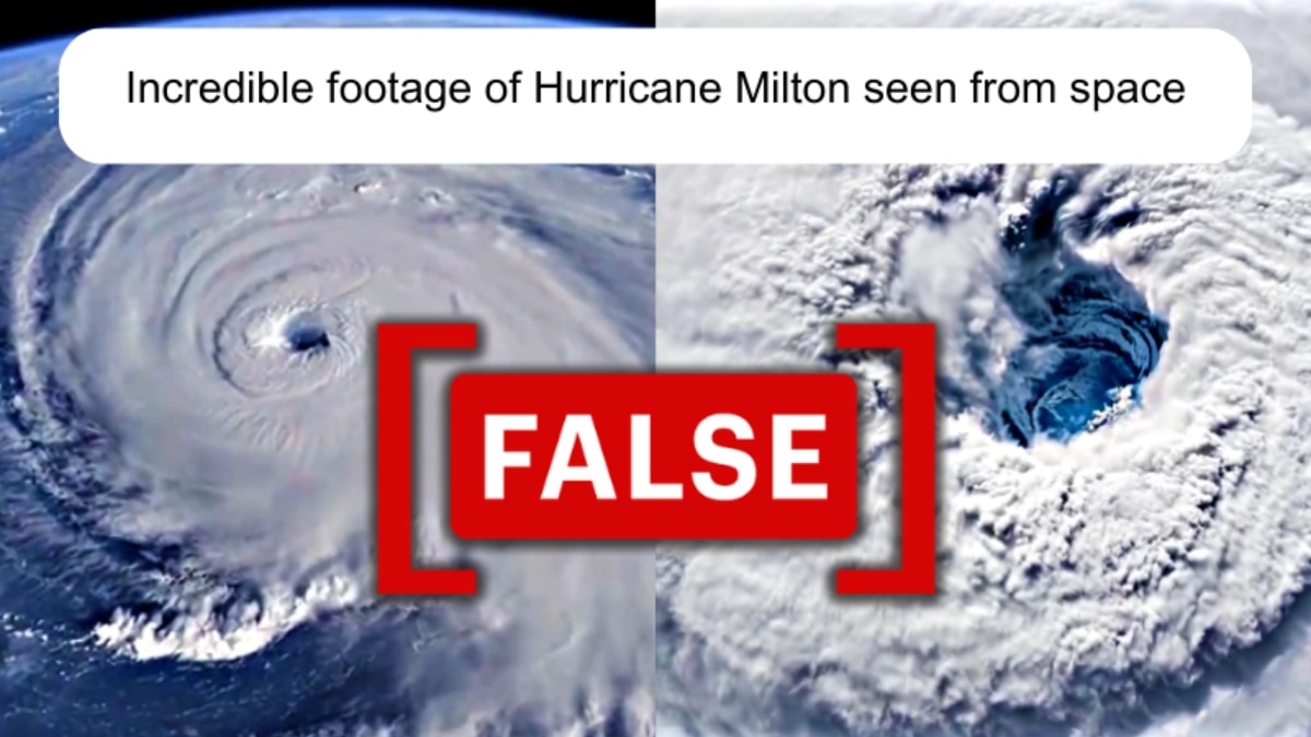 Elections To Vaccines, Policy To Climate: Looking Back At 2024 Misinformation Landscape