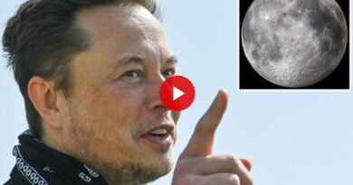 Elon Musk: We Definitely Went to the Moon