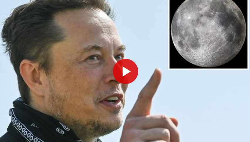 Elon Musk Moon