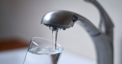 How to Make Sense of the Fluoride Debate