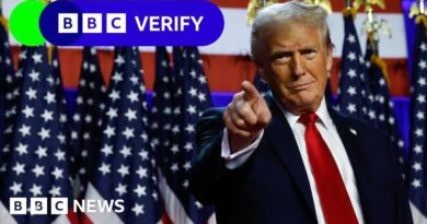 How US election fraud claims changed as Trump won - BBC.com