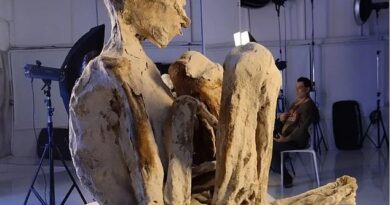 Mystery of Peru's' 'alien mummies' deepens after two more corpses are found with slanted eyes and hair