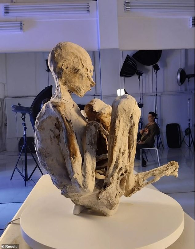 Paloma (pictured) and Antonio share the same three fingers as previous mummies, but feature small, slanted eyes and are described as being the size of 'a short adult.'