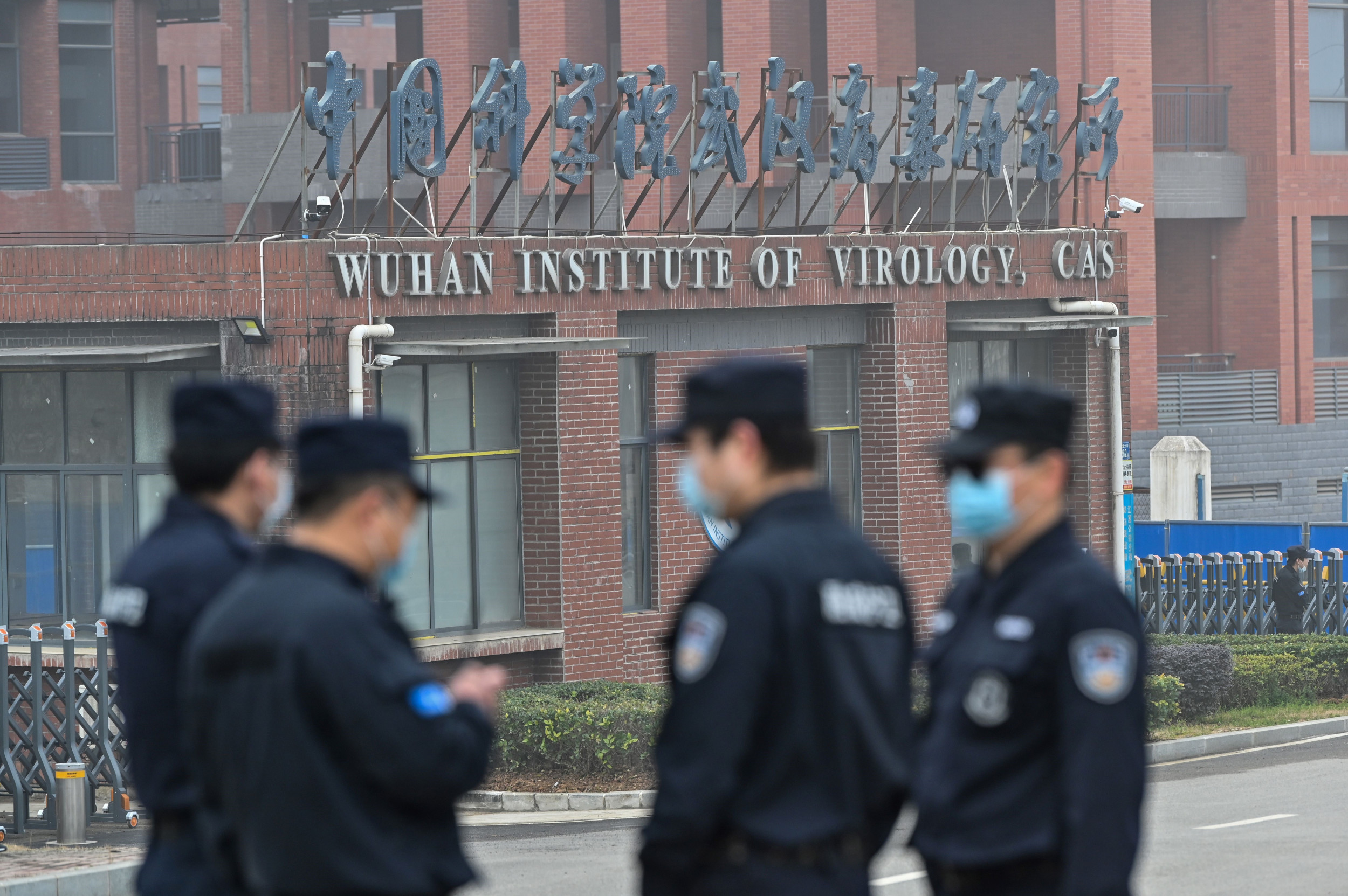 Wuhan lab