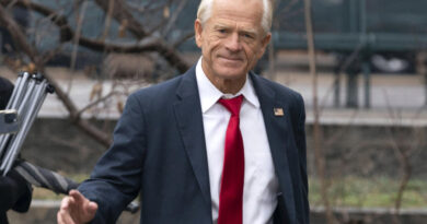 Trump Names Peter Navarro to Top White House Job: ‘Man Who Was Treated Horribly By the Deep State’