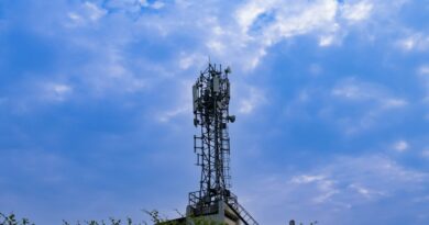 5G has not been shown to be harmful