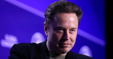 Elon Musk uses wildfires to attack California’s DEI practices — as MAGA faithful spread wild conspiracies