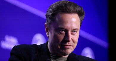 Elon Musk uses wildfires to attack California’s DEI practices — as MAGA faithful spread wild conspiracies - The Independent