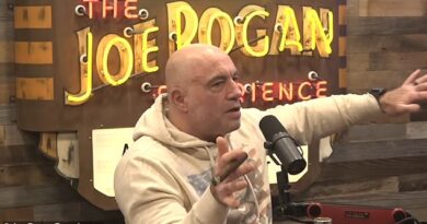 Joe Rogan is slapped down by guest for sharing bizarre conspiracy theory about the Los Angeles fires - Daily Mail