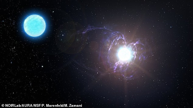 The researchers argue that the burst would have come from the magnetic fields within hundreds of thousands of kilometres of a neutron star. This is the first evidence that a neutron star's magnetosphere (illustrated) is capable of releasing a fast radio burst.