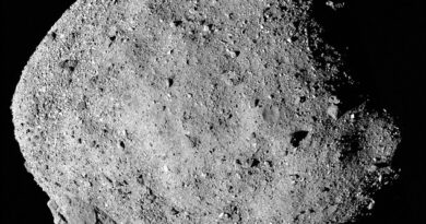 Scientists uncover the 'strongest evidence yet' for aliens: Breakthrough study confirms asteroid Bennu contains the building blocks of life