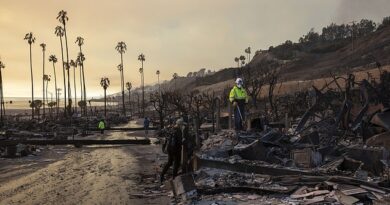 Wild conspiracy theories over LA fires emerge after lush green palm trees stand untouched amid burning wreckage