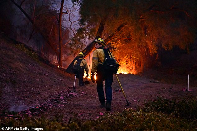 Firefighters work to put out flames in the Mandeville Canyon neighborhood of Los Angeles, California, on January 11, 2025