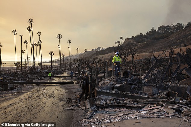 Palm trees can be seen in several photos still upright amid the burning wrecks of homes and cars set alight this week by the fires