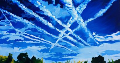 Are chemtrails real? Whether they are or not Florida is about to ban them