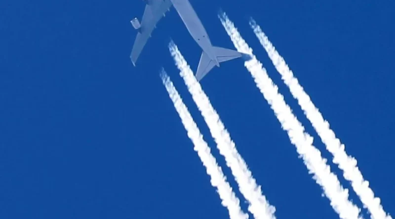 Chemtrails and dubious cancer cures: Florida is a bizarre conspiracy theory haven | Opinion