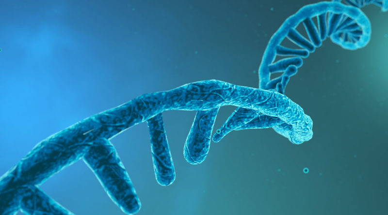 American Farmers to Begin Injecting Livestock With mRNA Shots This Month