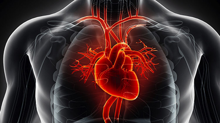 Reuters Fact-Checkers “Debunk” Claim That a High Number of Teens Are Developing Heart Problems Post-Jab… It’s “Only” 1 in 6