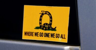 QAnon conspiracy theorists grapple with anger and confusion after Biden inauguration