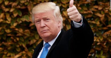 100 Days In, Here’s How Trump Has Already Dismantled The Deep State