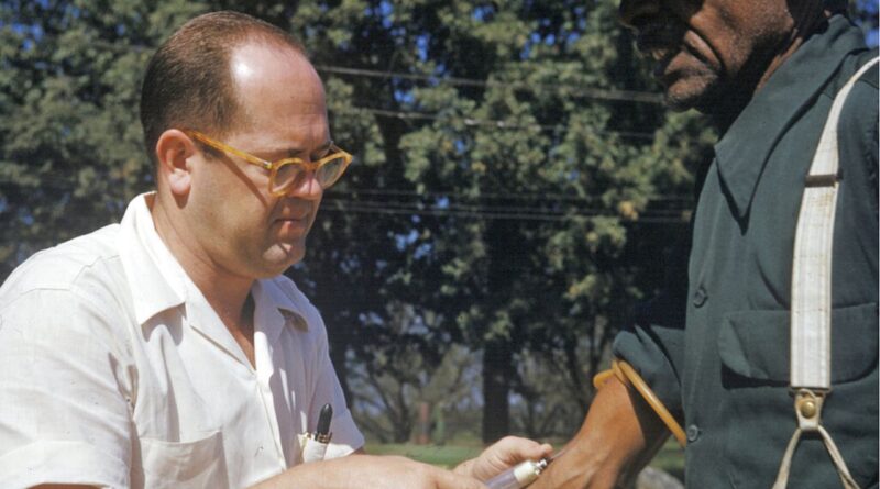 The Fly Catchers Of Ilorin